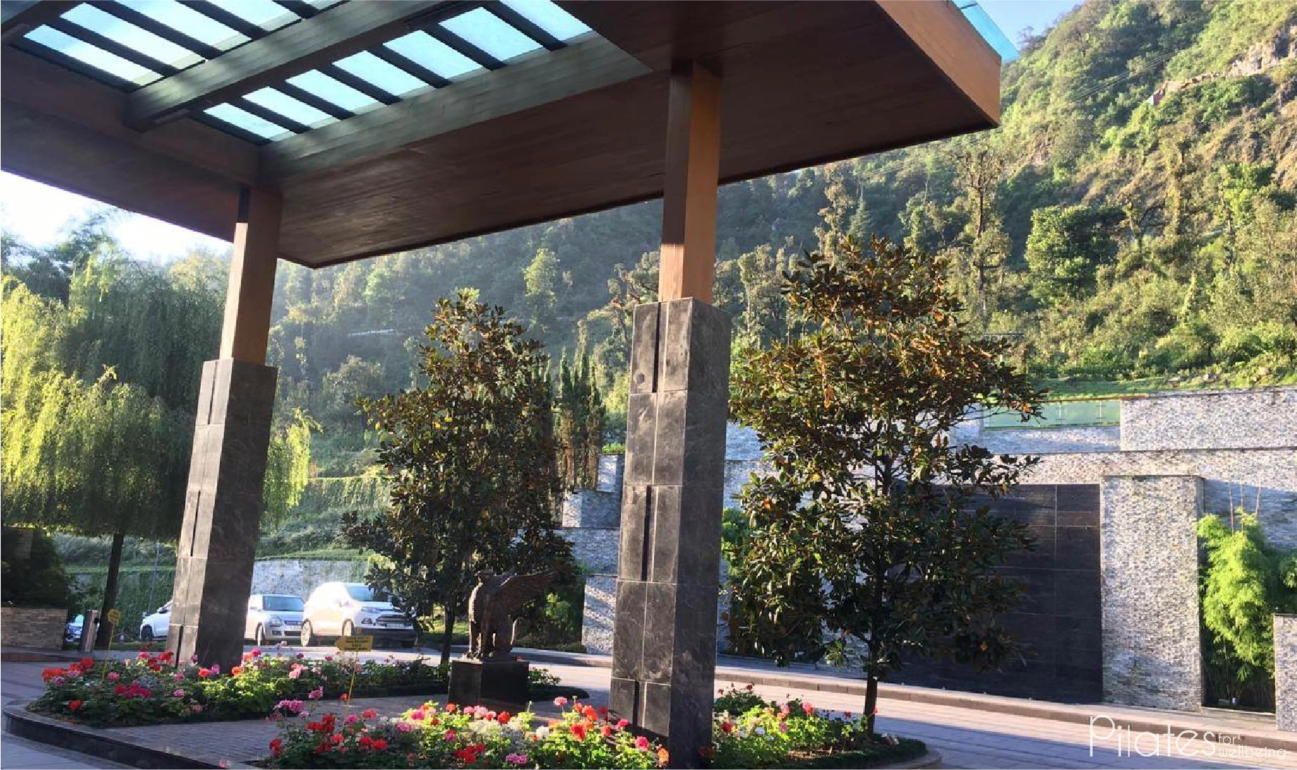 Images-for-website-11-1